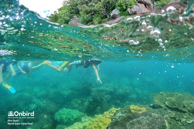 Onbird - Private Family KID-FRIENDLY Snorkeling Trip by Speedboat in Phu Quoc - What to Bring