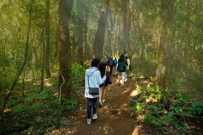 One Day Doi Inthanon & Trekking at Pha Dok Siew - Booking Information