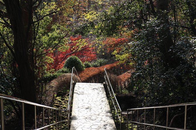 One Day Hike, Thrilling Mt. Nokogiri & Giant Buddha - Assistance and Support