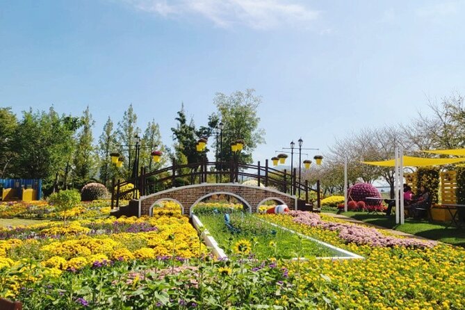 One Day Tour in Boseong Tea Plantation & Suncheon National Garden - Assistance Options