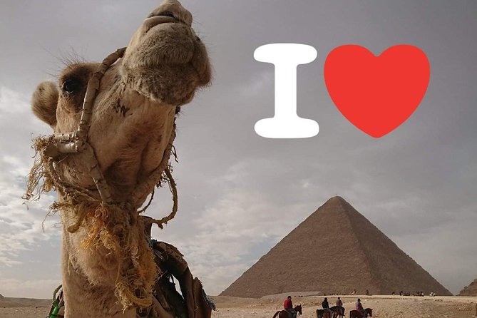 One Package Camel Ride With Giza Pyramids and Egyptian Museum Tour in Cairo - Support and Assistance