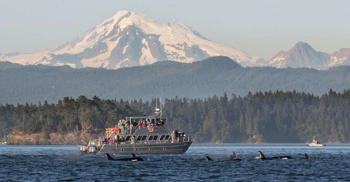 Orcas Island: Whales Guaranteed Boat Tour - Tour Duration and Schedule