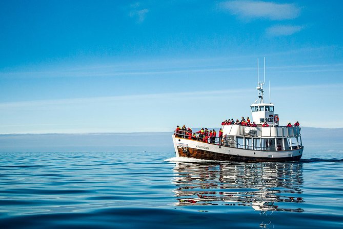 Original Carbon Neutral Whale Watching Tour From Húsavík - Last Words