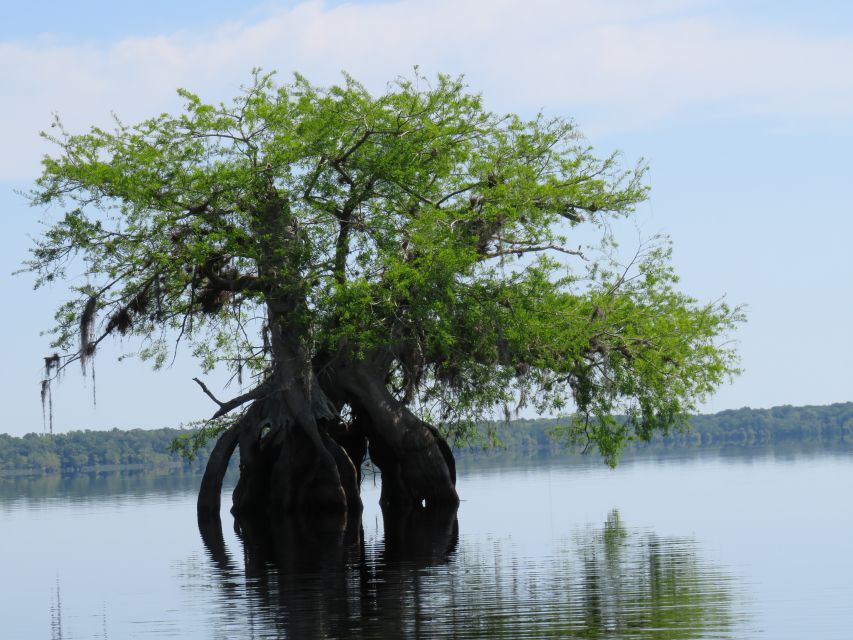 Orlando's Lake Norris: 5-Hour Kayak Explorer Tour With Lunch - Tour Availability