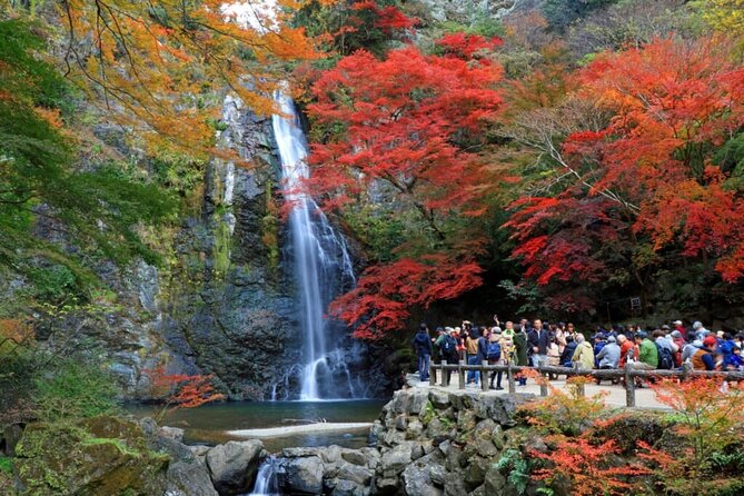 Osaka Nature Walking Tour - Minoh Hidden Beauty - Common questions