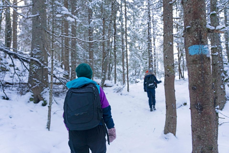 Oslo: Snow Hike to Vettakollen With Oslofjord Winter View - Restrictions & Details