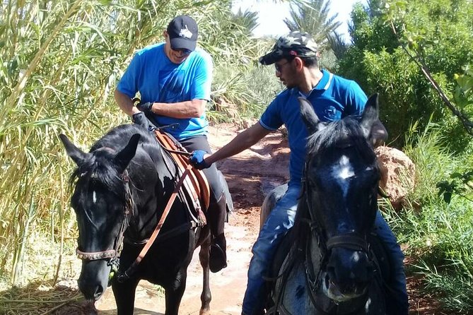 Ouarzazate Horseback or Camel Riding Hollywood Tour - Common questions