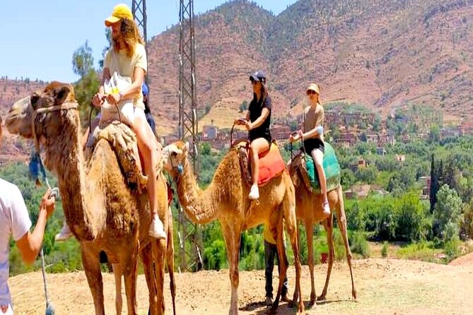 Ourika Valley: Private Luxury Trip to Atlas Mountains With All Inclusive - Gourmet Dining Experience