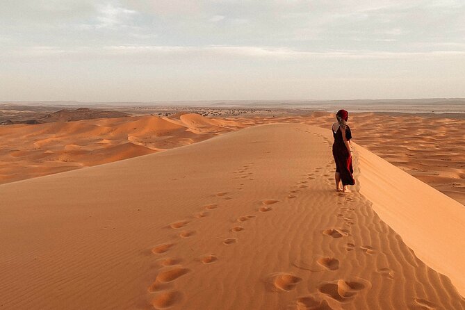 Overnight Tour From Fes to Sahara Desert - Booking Information