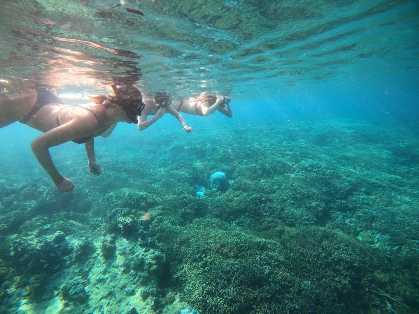 Ozzy Snorkeling 3 Islands - Last Words