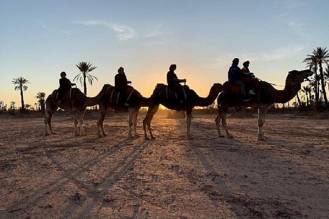Palmerai Groove Camel Ride With Sunset - Additional Miscellaneous Information