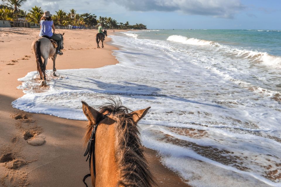 Palomino: Horseback Riding Tour on Palomino Beach - Language Options