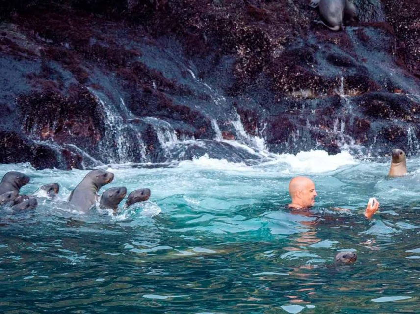 Palomino Islands Speedboat Excursion & Swim With Sea Lions - Last Words