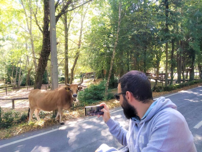 Peneda-Gerês: Full-Day Premium Tour - Mountain Shrine and Carriage Ride