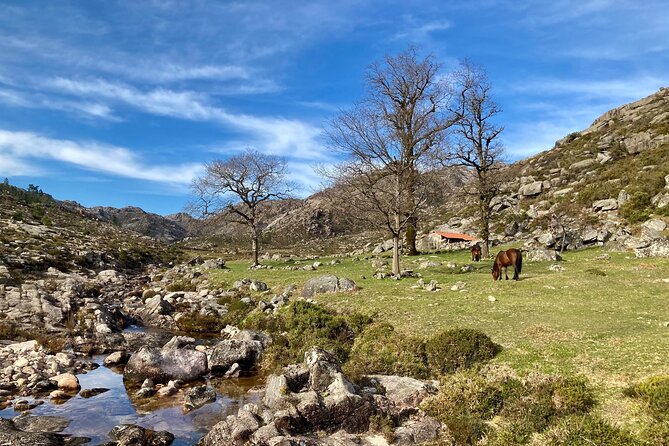 Peneda-Gerês Hiking & Sightseeing: Private Experience - Directions