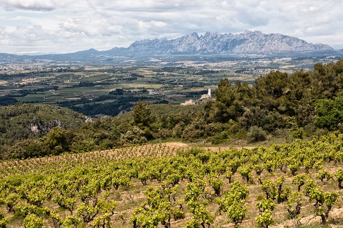 Penedes and Cava Winery Small Group Tour - Booking Information and Policies