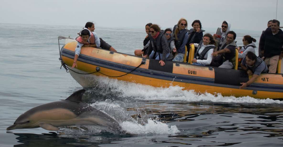Peniche: Dolphin Route Boat Trip - Additional Information