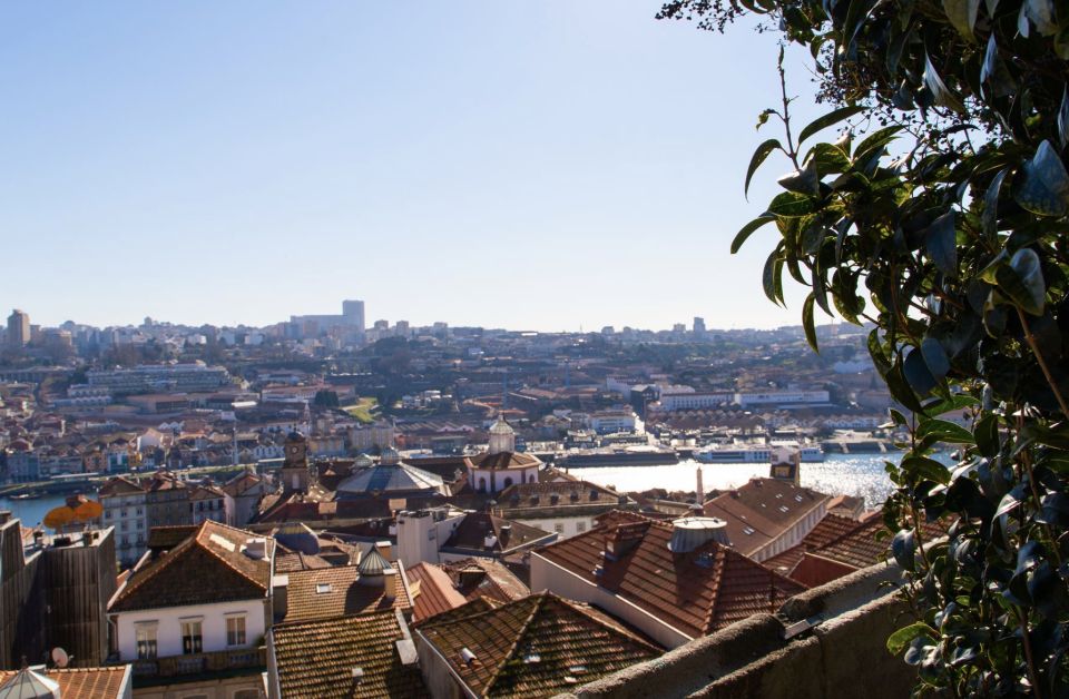 Photo Tour Porto: Walking Tour With Professional Photoshoot - Highlights and Instagrammable Spots