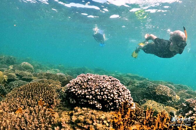 Phu Quoc Private Coral Jungle Reef Snorkel Tour - Weather Considerations