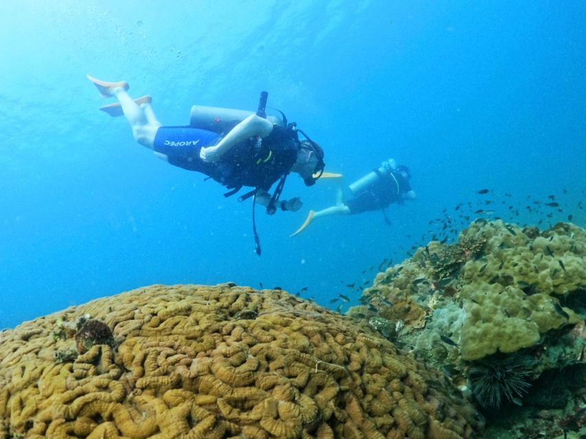 Phu Quoc: Scuba Diving Experience for All Levels - Convenience and Logistics