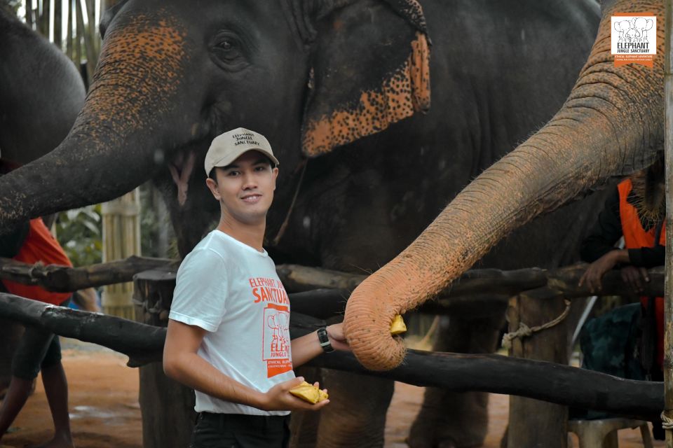 Phuket: Elephant Jungle Sanctuary Ethical Feeding Experience - Last Words