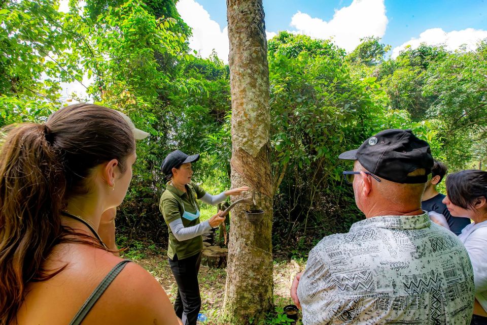 Phuket: Ethical Elephant Nature Park Visit With Lunch - Itinerary Overview