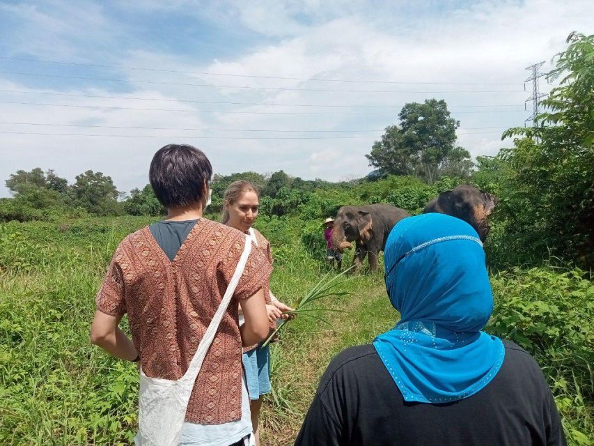 Phuket: Ethical Elephant Sanctuary Eco Guide Walk Tour - Tour Itinerary