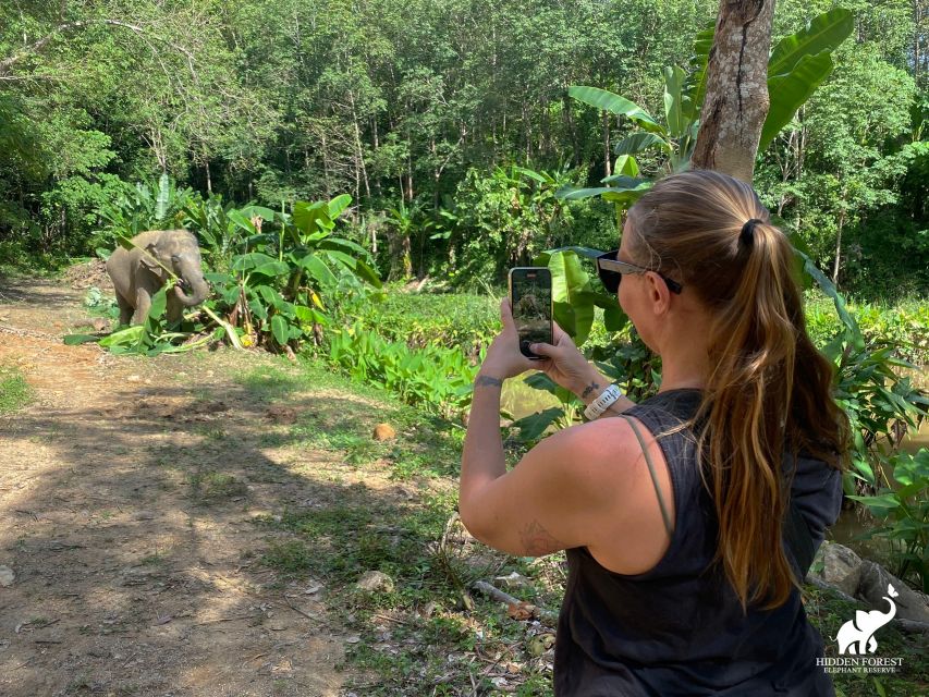 Phuket: Hidden Forest Elephant Reserve With Lunch & Transfer - Visitor Reviews