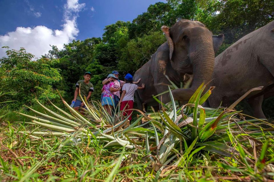 Phuket: Walk and Feed Ethical Elephant Nature Park Tour - Directions