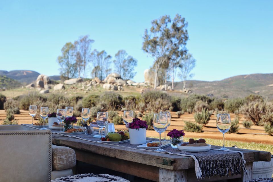 Picnic Among Lavender - Participant Recommendations