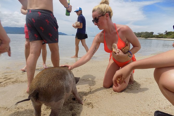 Pig Feeding, Kayaking, Snorkeling Trip at Pig Island By Speedboat From Koh Samui - Common questions