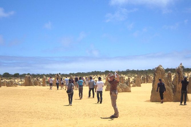 Pinnacles & Rottnest Island Scenic Air & Ground Tour - Reviews and Pricing