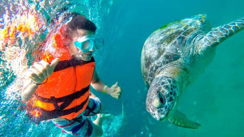 Piura: Adventure in Mancora With Underwater Turtle Encounter - Additional Information