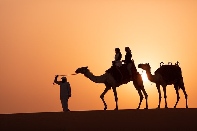 Platinum Luxury Desert Safari With 6-Course Dinner in Cabana - Customer Reviews and Highlights