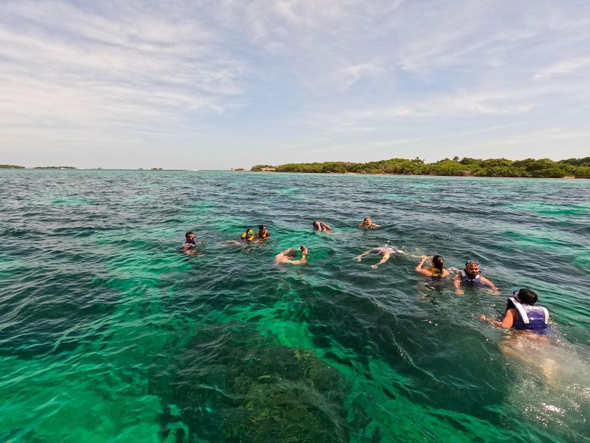 Playa Blanca: Daytour With Snorkeling and Racoon Sighting - Feedback