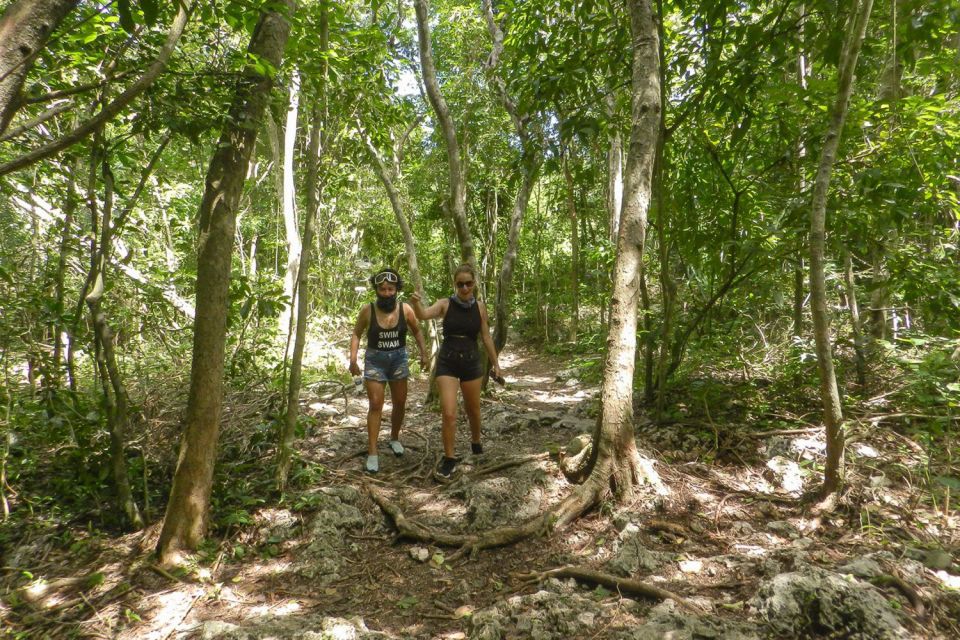 Playa Del Carmen: Cenote & Mayan Village Tour by Buggy - Review Summary