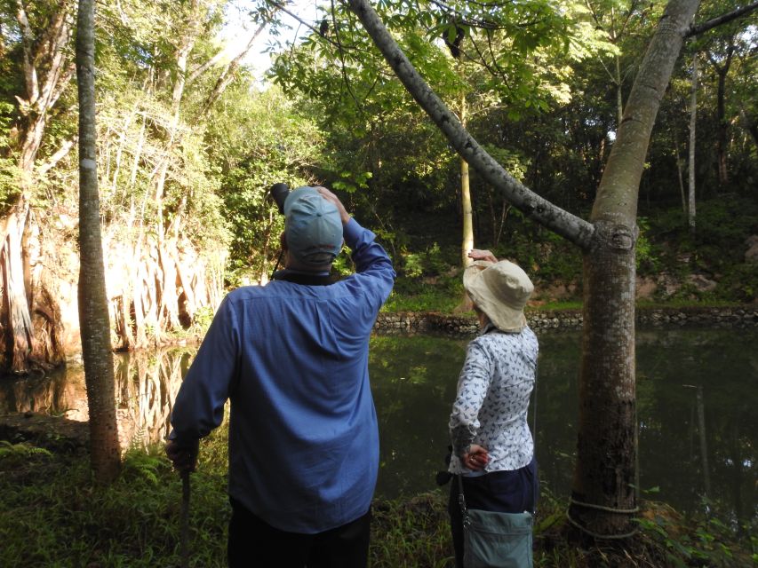 Playa Del Carmen: Guided Birdwatching Hike - Meeting Point and Transportation