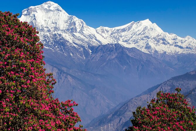 Pokhara: 4 Days Poon Hill Trek via Ghandruk Village - Last Words