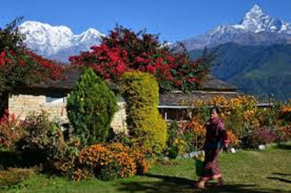 Pokhara: Guided Day Hike From Dampus To Australian Base Camp - Best Seasons and Pricing Details