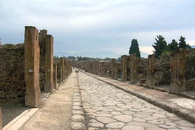 Pompei Archeological Site and Wine Tasting Experience - Pricing Information