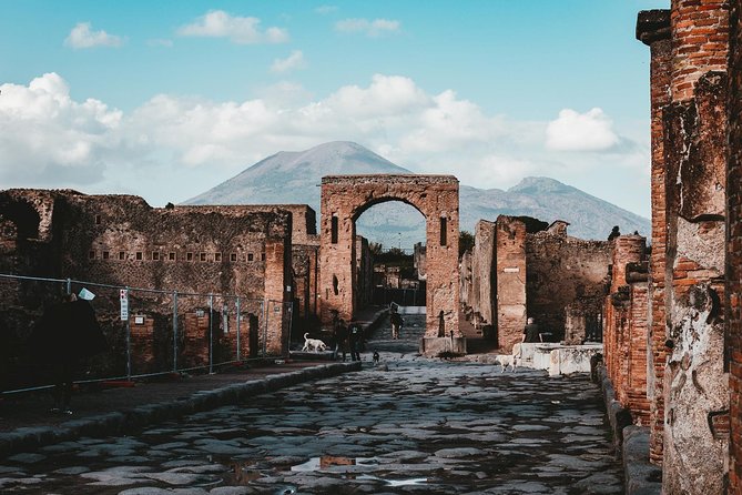 Pompei Skip The Line 2-Hours Guided Tour in English - Additional Information