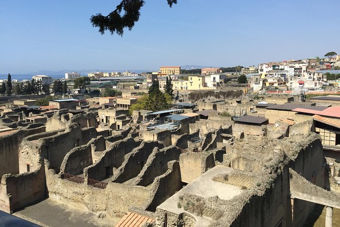 Pompeii and Herculaneum Tour Plus Wine Tasting From Sorrento - Tour Logistics