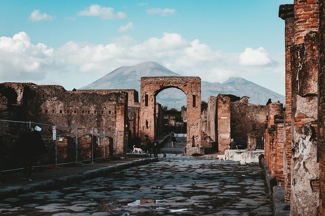 Pompeii and Mount Vesuvius Day Trip From Naples With Lunch - Dining Experience and Meal Quality