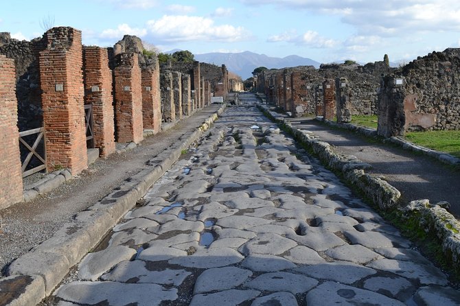 Pompeii Small-Group Half-Day Tour With Transit  - Naples - Shuttle Service Details