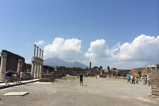 Pompeii-Wine Tasting Tour From Sorrento, Licensed Guide Included