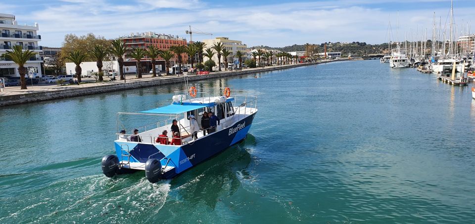Ponta Da Piedade: Half-Day Cruise With Lunch From Lagos - Additional Information