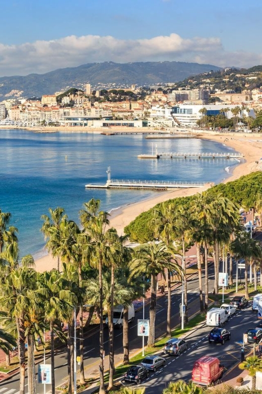 Port of Cannes : Personalized Private Tour