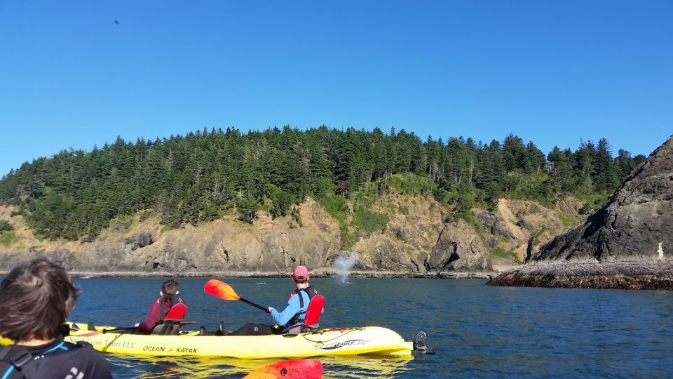 Port Orford: Kayak Tour to Orford Heads With Gear - Common questions