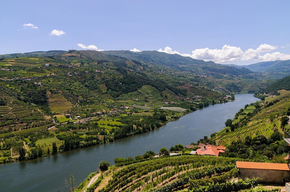 Porto: Douro Valley Private Tour to 2 Boutique Wineries - Immersive Douro Valley Exploration