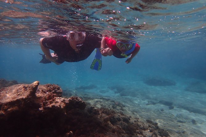 Porto Santo Snorkeling Tour - Pricing Information